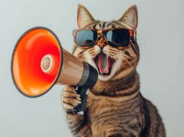 Gatto con megafono, perché questo post non funziona