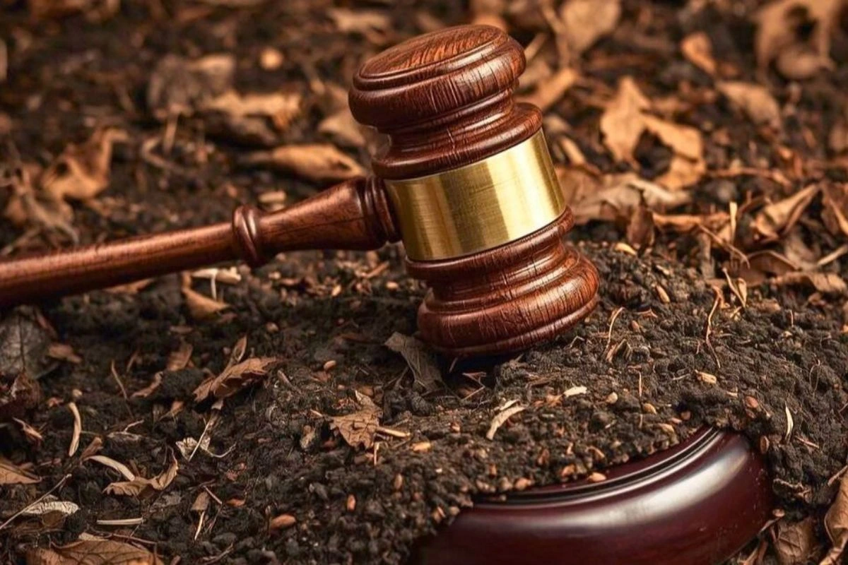 Martelletto del giudice che colpisce foglie secche nel bosco