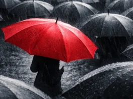 Un ombrello rosso che si muove in direzione opposta a una folla di ombrelli grigi